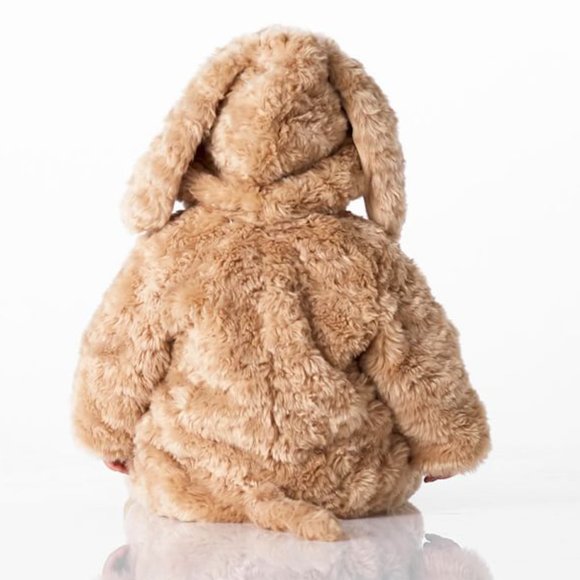 NEW Pottery Barn Kids BABY DOG HALLOWEEN COSTUME 0-6 3 MONTHS *brown puppy - Picture 7 of 15